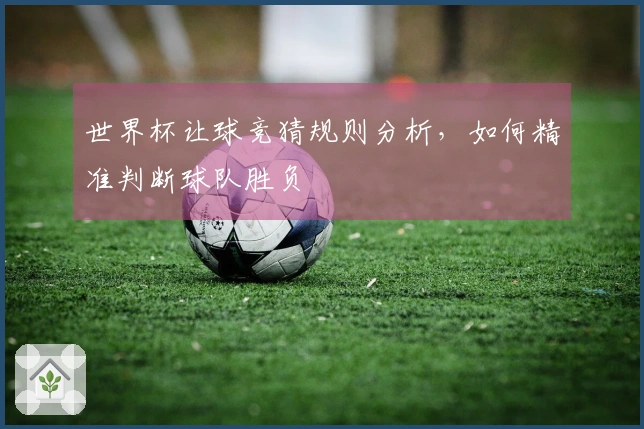 世界杯让球竞猜规则分析，如何精准判断球队胜负