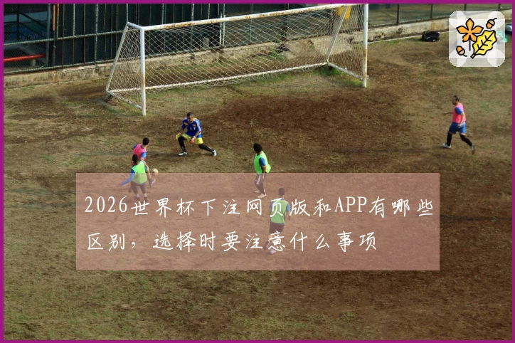 2026世界杯下注网页版和APP有哪些区别，选择时要注意什么事项