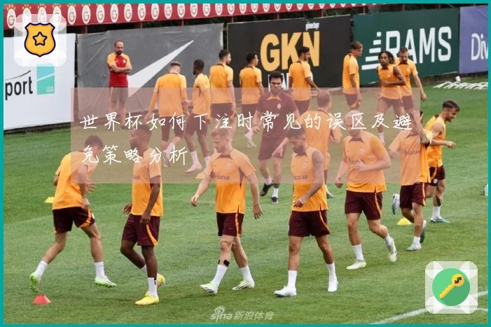 世界杯如何下注时常见的误区及避免策略分析