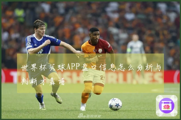 世界杯买球APP盘口信息怎么分析与判断才靠谱